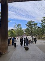 Todaiji-Tempel in Nara