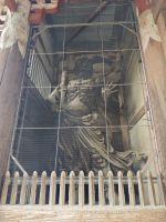 Todaiji-Tempel in Nara