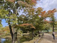 Todaiji-Tempel in Nara