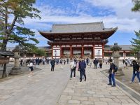 Todaiji-Tempel in Nara