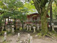 Kasuga-Schrein in Nara