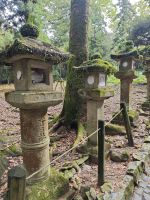 Kasuga-Schrein in Nara