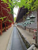 Kasuga-Schrein in Nara