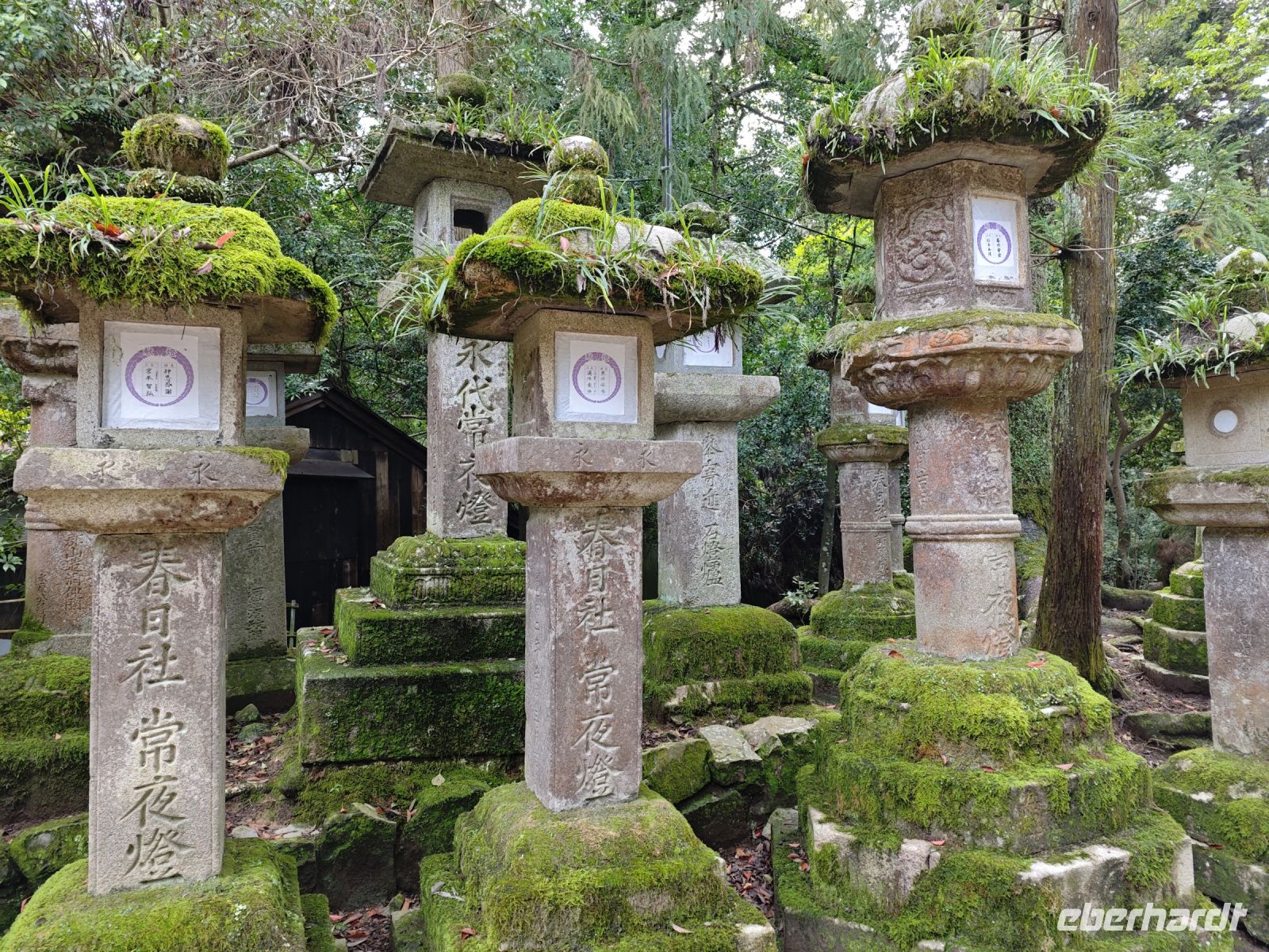 Kasuga-Schrein in Nara