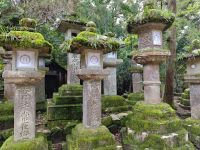 Kasuga-Schrein in Nara