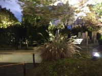 Kodaiji-Tempel in Kyoto