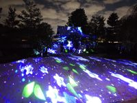 Kodaiji-Tempel in Kyoto