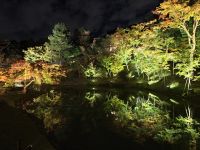 Kodaiji-Tempel in Kyoto