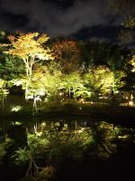 Kodaiji-Tempel in Kyoto