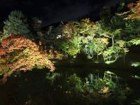 Kodaiji-Tempel in Kyoto