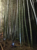 Kodaiji-Tempel in Kyoto