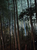 Kodaiji-Tempel in Kyoto