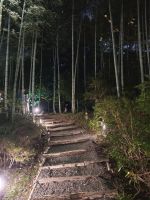 Kodaiji-Tempel in Kyoto