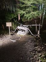 Kodaiji-Tempel in Kyoto