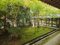 Ryoanji-Tempel mit Zen-Garten