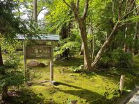 Ryoanji-Tempel mit Zen-Garten