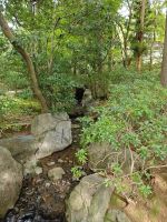 Ryoanji-Tempel mit Zen-Garten