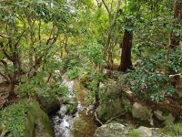 Ryoanji-Tempel mit Zen-Garten