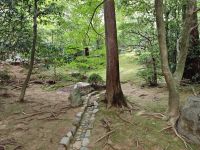 Ryoanji-Tempel mit Zen-Garten