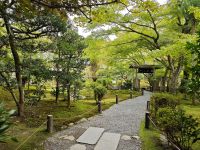 Ryoanji-Tempel mit Zen-Garten