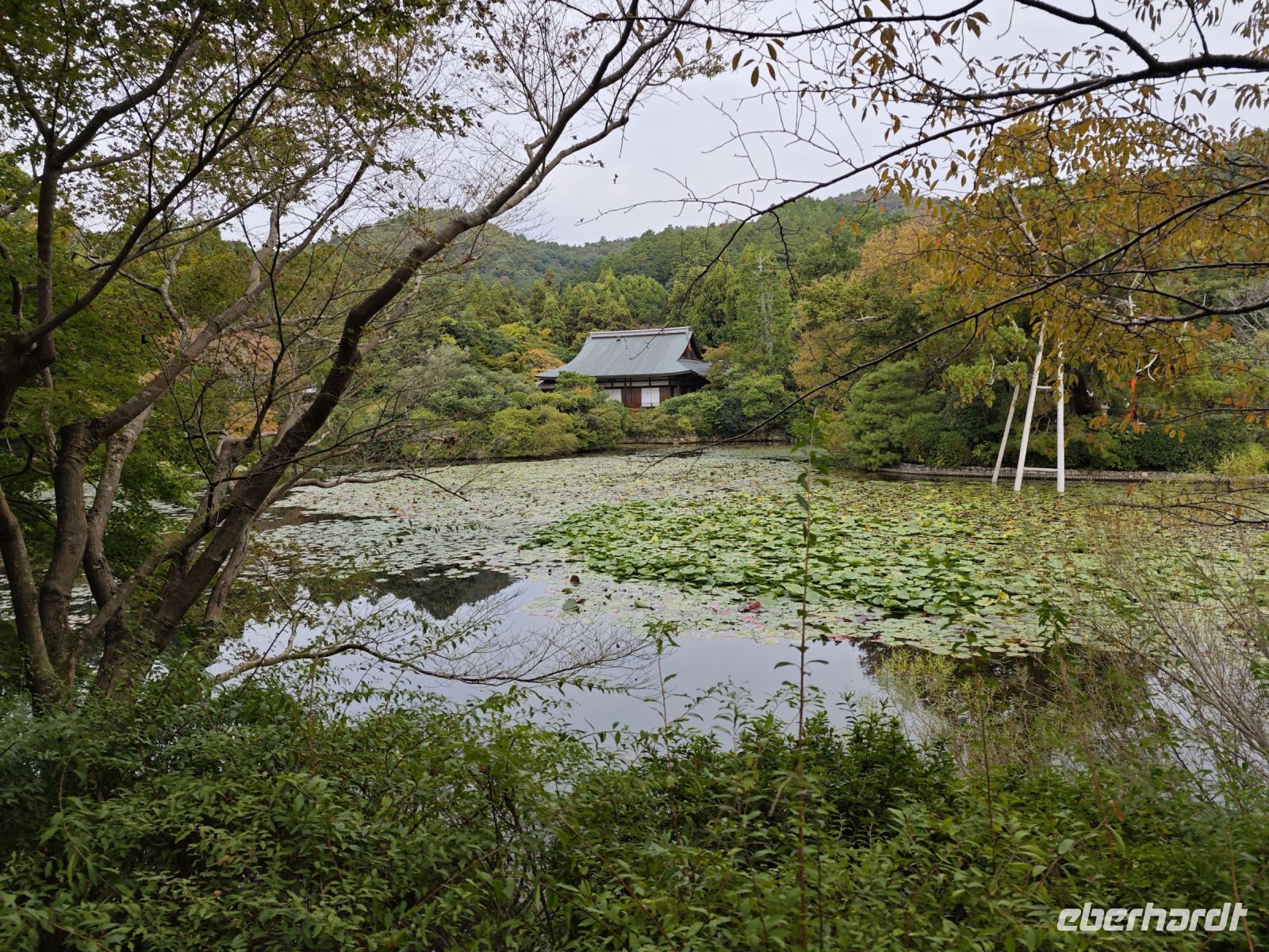 Ryoanji-Tempel mit Zen-Garten