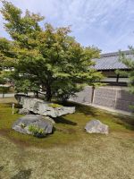 Kinkaku-ji / Goldener Tempel in Kyoto