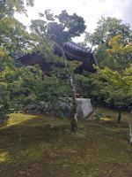 Kinkaku-ji / Goldener Tempel in Kyoto