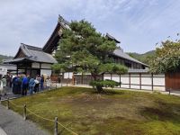 Kinkaku-ji / Goldener Tempel in Kyoto