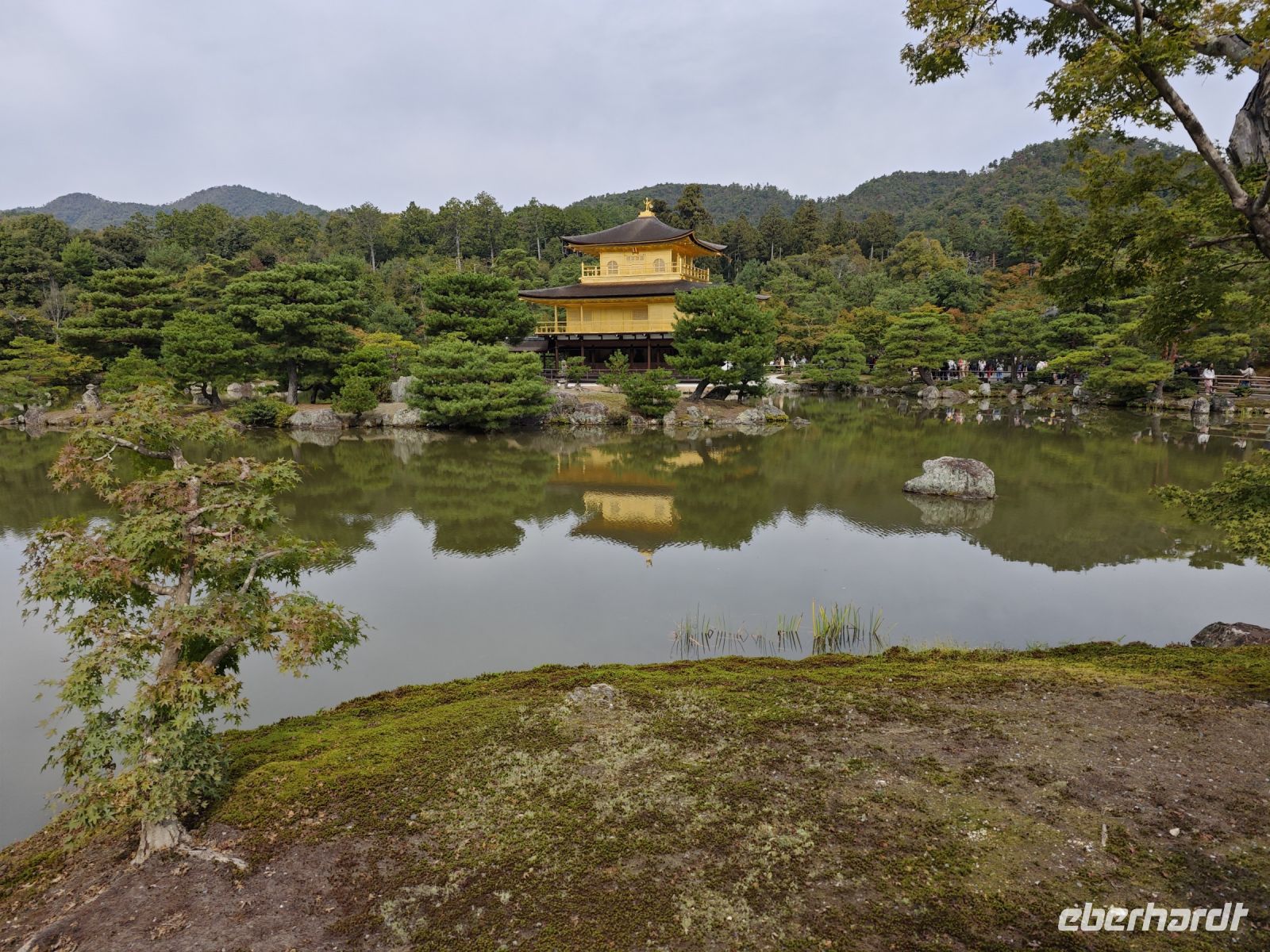 Kinkaku-ji / Goldener Tempel in Kyoto
