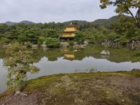 Kinkaku-ji / Goldener Tempel in Kyoto