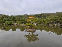 Kinkaku-ji / Goldener Tempel in Kyoto