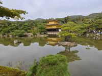 Kinkaku-ji / Goldener Tempel in Kyoto