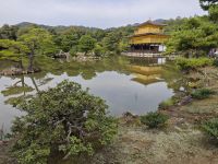 Kinkaku-ji / Goldener Tempel in Kyoto