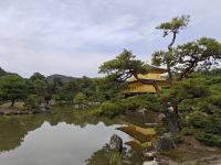Kinkaku-ji / Goldener Tempel in Kyoto