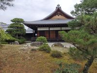 Kinkaku-ji / Goldener Tempel in Kyoto