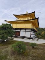 Kinkaku-ji / Goldener Tempel in Kyoto
