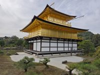 Kinkaku-ji / Goldener Tempel in Kyoto