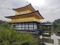 Kinkaku-ji / Goldener Tempel in Kyoto