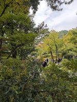 Kinkaku-ji / Goldener Tempel in Kyoto