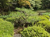Heian-Schrein in Kyoto mit Gartenanlage