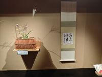 Teezeremonie in Kyoto