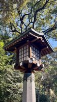 Meiji Jingu, Shibuya, Tokyo, Japan