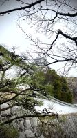 Himeji Park, Himeji, Hyogo, Japan