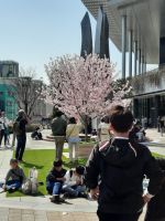 Erste Eindrücke von Japan