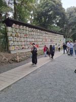 Am Meiji-Schrein in Tokio