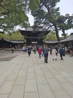 Am Meiji-Schrein in Tokio