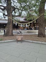 Am Meiji-Schrein in Tokio