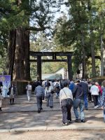 Anlage des Toshogu-Schreins in Nikko