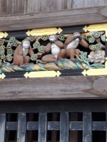 Anlage des Toshogu-Schreins in Nikko