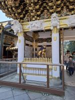 Anlage des Toshogu-Schreins in Nikko